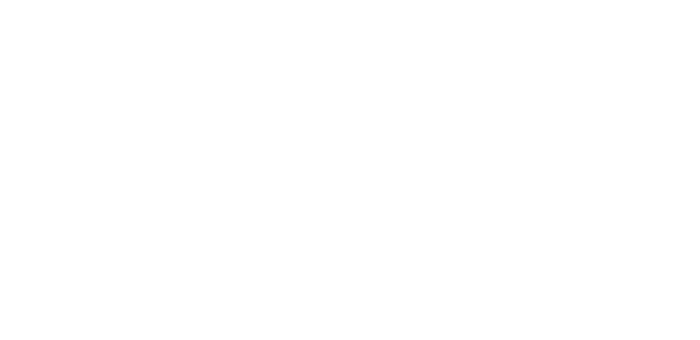 DSO Pricing