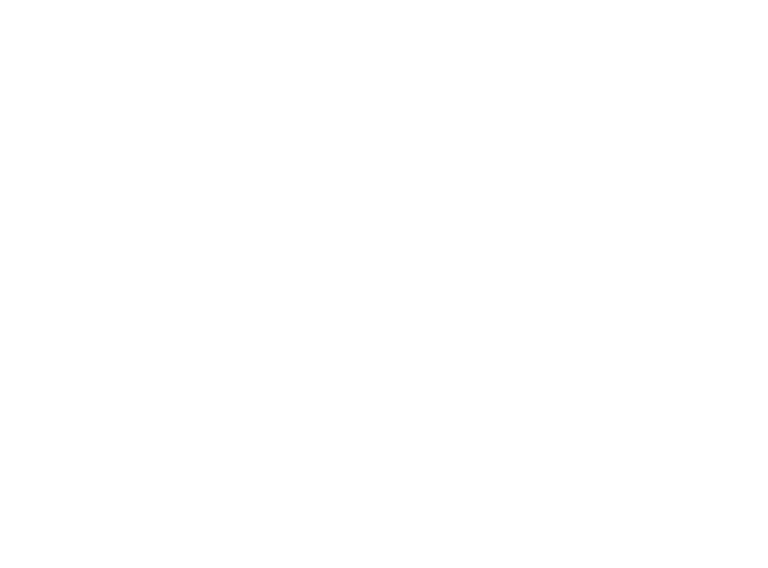 Google Partner