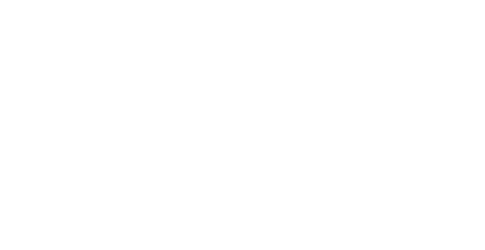 Meta Partner
