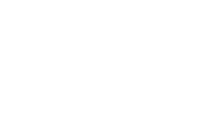 The DSO Project