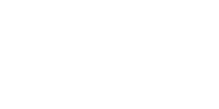 The Soft Skills Institute